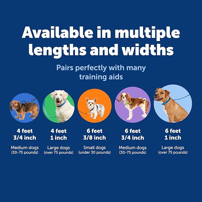 PetSafe Nylon Leash - Chew-Resistant Cat & Dog Behavioral Training Leash - Compatible with Easy-Walk Harness - Traditional-Style Reliable Pet Lead with a Padded Hand Wrap - 1" x 4' - Royal Blue