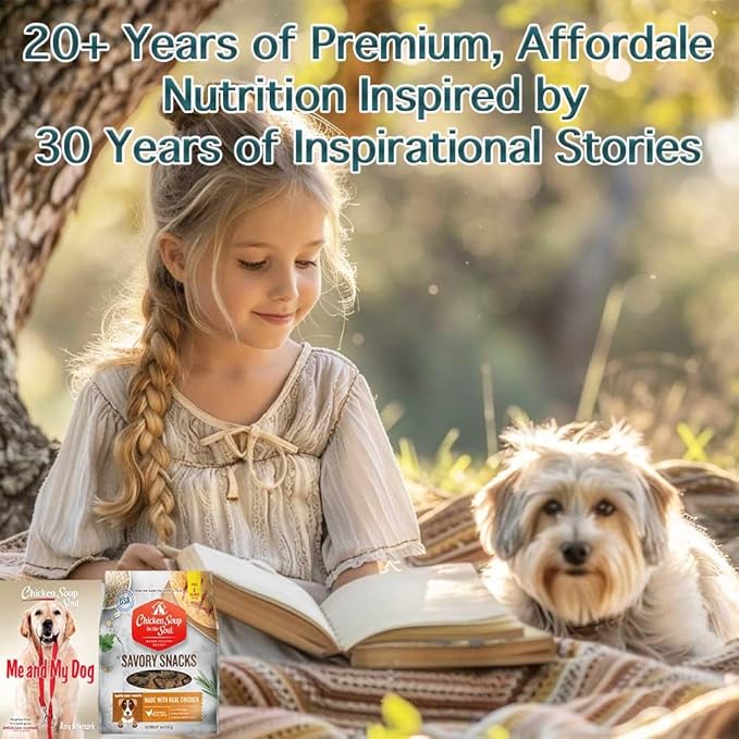 Chicken Soup for The Soul All Natural Premium Savory Snacks Soft & Chewy Dog Treats, Real Beef First Ingredient, No by-Products, Artificial Colors, Flavors or Preservatives, Chicken, 16oz