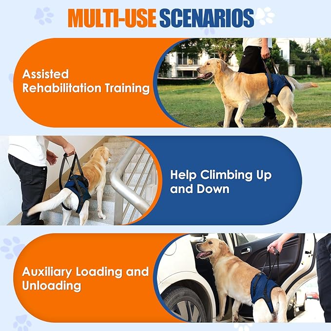 SlowTon Dog Lift Harness - Adjustable Dog Sling for Medium Large Dogs, Hind Leg Support to Help Rehabilitate, Soft Padded Dog Support Harness for Elderly, Injured, Arthritic, Disabled Dogs(BL,M)