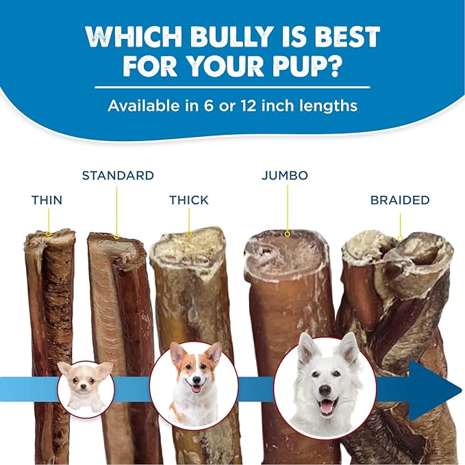 Best Bully Sticks 12 Inch Bully Sticks for Dogs - 3 Count (Pack of 1) - Natural, Easily Digestible, Grass-Fed Beef, Grain and Rawhide Free - Trial Size