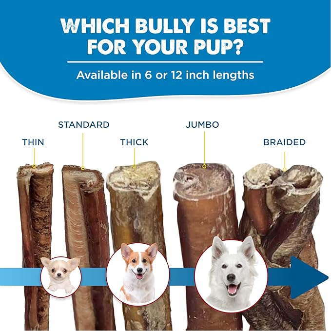 Best Bully Sticks 6 Inch Jumbo Bully Sticks - 25 Count (Pack of 1) - Natural Grass-Fed Beef, Single Ingredient, Grain and Rawhide Free, Ideal for Large Canines