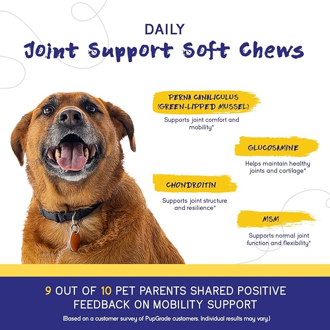 PupGrade Joint Support Supplement for Dogs - Glucosamine + Chondroitin with MSM and Perna - Supports Normal Hip & Joint Health for Occasional Discomfort, Beef Flavor - 60 Soft Chews