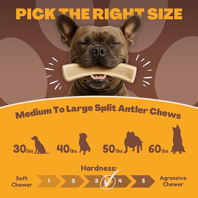 Whitetail Naturals Split Elk Antlers for Dogs (1 lb Bulk Pack) Premium Antler Chews for Medium to Large Dogs – Grade A, Wild Sourced & Naturally Shed (Approx. 4-5 Count)