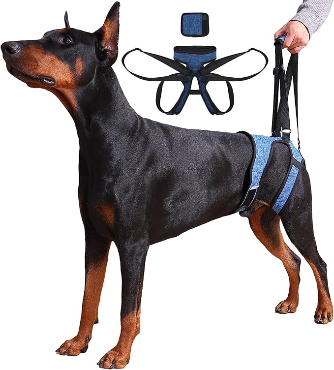 Dog Lift Harness – Adjustable Hind Leg Support Sling for Medium & Large Dogs, Soft Padded Mobility Aid for Senior, Injured & Arthritic Dogs