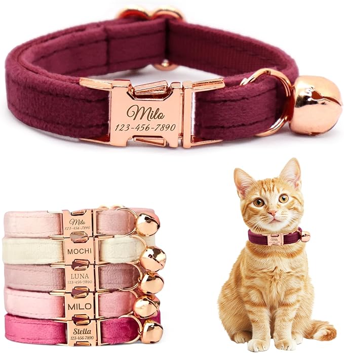 Personalized Non-Breakaway Cat Collar with Name, Luxury Soft Velvet Custom Engraved Name Collar with Bell for Kittens & Cats (Wine, L (7.5-12.5 inches))