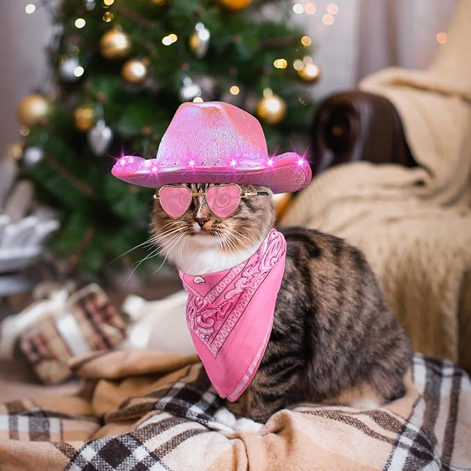 Aliceset 3 Pcs Pet Cowboy Costume Cat Cowboy Accessories Set Neon Sparkly Dog Cowboy Hat Paisley Bandanna Collar and Sunglasses LED Light up Western Small Cat Dog Cowgirl Costume(Pink, Shiny, Shiny)