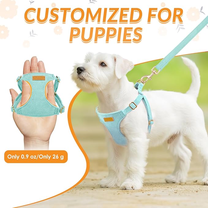 SlowTon Dog Harness Small Sized Dog - Soft XXS Dog Harness and Leash Set No Pull No Chock, Adjustable Lightweight Puppy Harness for XS Small Medium Dogs Cats (Solid Light Blue, S)