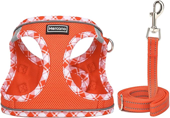Mercano Soft Mesh Dog Harness and Leash Set, No-Chock Step-in Reflective Breathable Lightweight Easy Walk Vest Harnesses with Safety Buckle for Small Dogs, Cats (Tangerine, XXS)