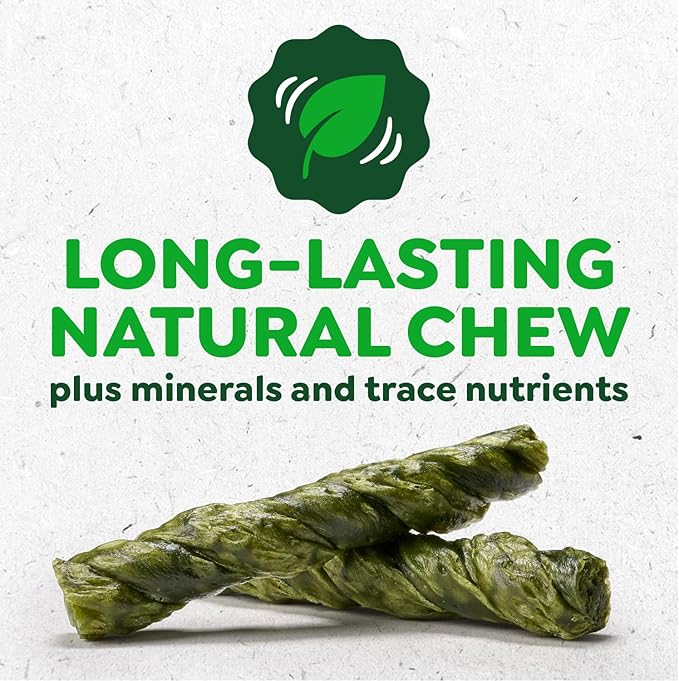 Greenies Occupy Twists Natural Dog Treats Regular Size Dog Chews Long Lasting Chicken Flavor, 17.2 oz. Pack, 12 Count