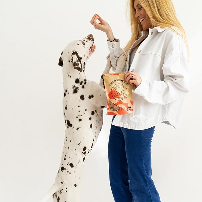 Winnie Lou Organic Dog Treats – Natural Dog Biscuits, USA Made, Organic Ingredients, Clean, Sensative Stomach, All Breed Sizes, High Protein, Hypoallergenic, Strawberry Shortcake Treats (Pack of 2)