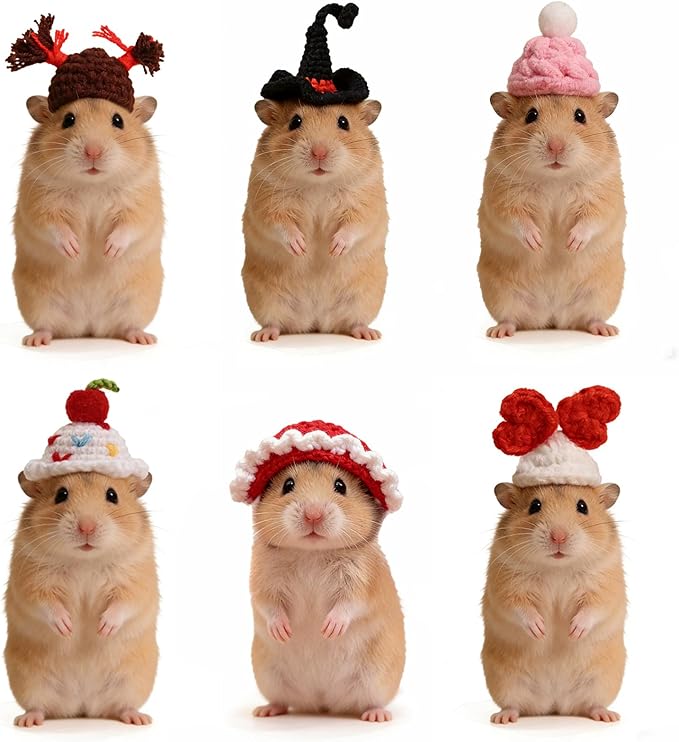 Hamster Hats Mini Party Hats for Small Animals, 6 Pcs Cute Hand Knitted Tiny Hats for Guinea Pig Snakes Lizards Bearded Dragon Bunny Reptile Pets Clothes Valentine's Day Party Costume Accessories