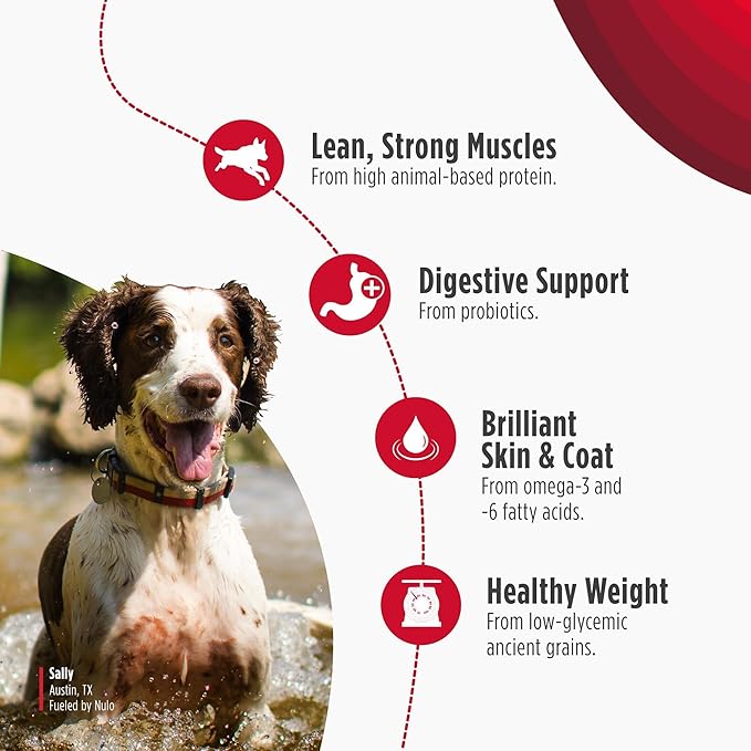 Nulo Frontrunner Dry Dog Food - Adult High-Protein Beef, Barley & Lamb Recipe, Natural Kibble with Ancient Grains, Probiotics, Taurine, Omega 3 for Small, Medium and Large Breeds, 5lb Bag