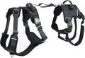 Dog Lift Harness, Dog Lift Sling Carrier with Handle & Shoulder Sling, Support Harness for Rear Back Legs Helps,Disabled,Arthritis,Joint Injuries,Paralysis Up Stairs（Black,Large）