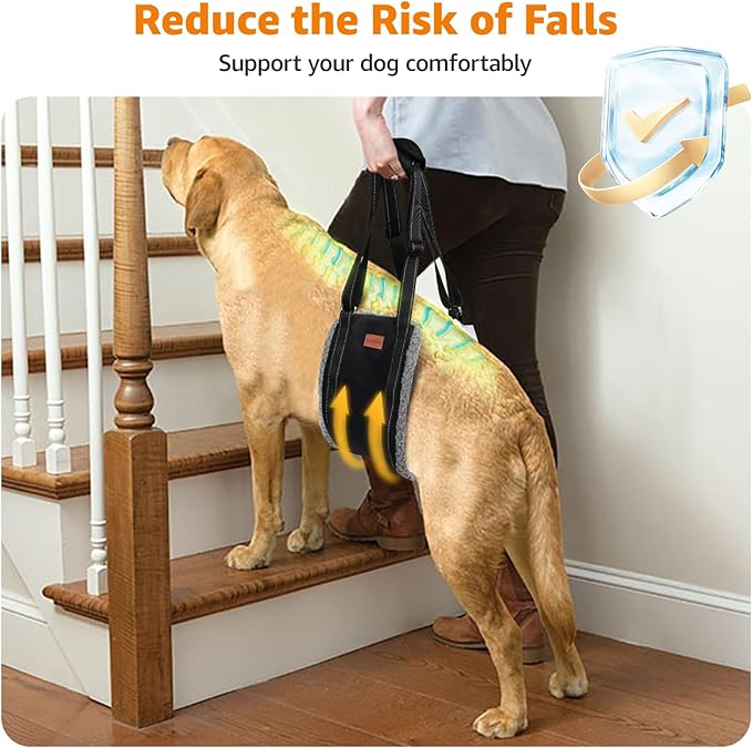 LOOBANI Dog Sling for Large Dogs Hind Leg Support, Portable Dog Lift Harness for Back Legs, Comfortable Leg Support Assistance for Elderly Dogs with Hip, ACL Brace, Senior, Injured