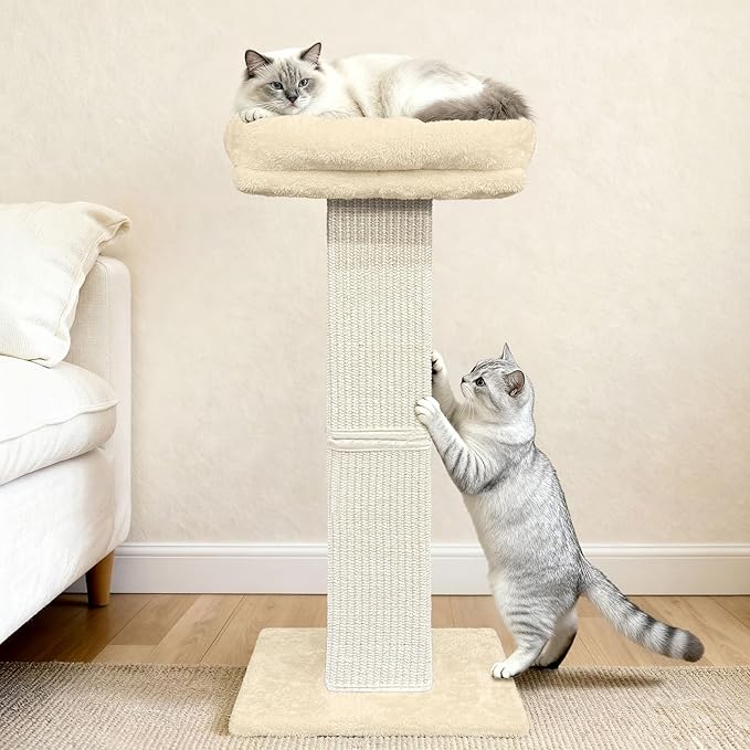 AGYM Cat Scratching Post, 32”Cat Scratcher with Large Plush Perch, Sisal & Carpet Scratching Post, Vertical Posts with Elevated Bed for Indoor Cats, Removable& Washable Cover, Beige