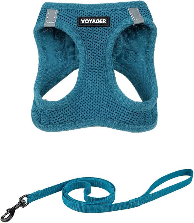 Voyager Step-in Pet Harness - All Weather Mesh, Adjustable Step in Harness for Cats and Dogs by Best Pet Supplies - 307S Turquoise, XXXS