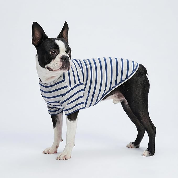 Fitwarm 3 Pack Color Block Striped Dog Shirt, Summer Dog Clothes for Small Dogs, Breathable Lightweight Pet Tshirt with Sleeves, Cat Outfit, Red, Blue, Grey
