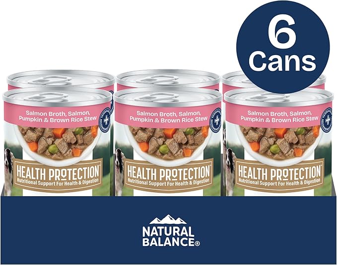Natural Balance Health Protection Wet Dog Food - Whole Body Health, Easy on Digestion, Salmon Broth, Salmon, Pumpkin & Brown Rice Stew, Digestive Wellness Dog Food, High in Fiber - 12.5oz (Case of 6)