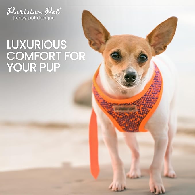 Parisian Pet Dog Harness - Breathable Mesh Orange Blue No Pull Puppy Harness with Leash Ring - Adjustable Harnesses for Dogs - Soft Padded Step-In Pet Vest - Lightweight Dog Vests for Large Sized Dogs