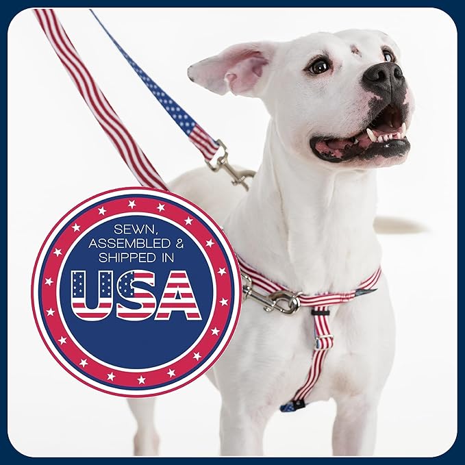 2 Hounds Design Freedom No Pull Dog Harness, Adjustable Harness, Easy Walking & Comfortable Control, Fits Small, Medium & Large Dogs, Solid Colors, Made in USA, 1" LG, Neon Organge