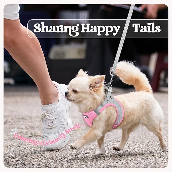 rabbitgoo Dog Harness Small Medium Sized and Leash Set, Step in Soft Light Puppy Vest, Breathable Mesh Pet Harness, Reflective for Safe Easy Walking, Pink & Gray L