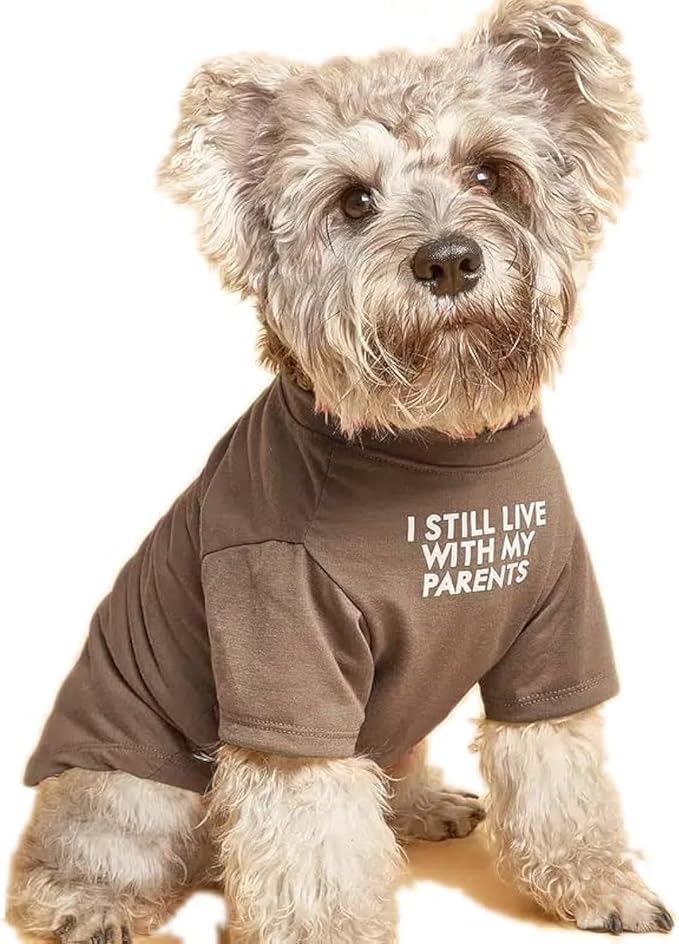 Cute Dog Clothes,Dog T Shirt for Medium and Small Girl Boy Puppy.Breathable Soft Pet Costume for Pet Cats,Pet Pullover Jumper,Cat Clothes (M-(7~11lb), Chest~16", Khaki)