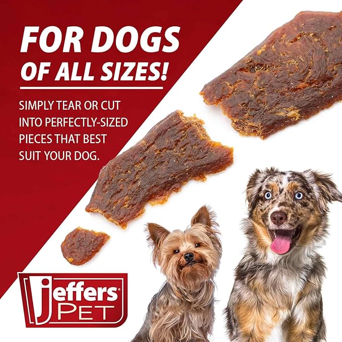 Jeffers Chicken Jerky Dog Treats 24 oz Bag | Grain Free High Protein Soft Chewy Pet Snacks | USA Made Natural Chicken Breast Tender for Dogs, Puppies, Training, Rewards, Healthy Treats - 2 Pack