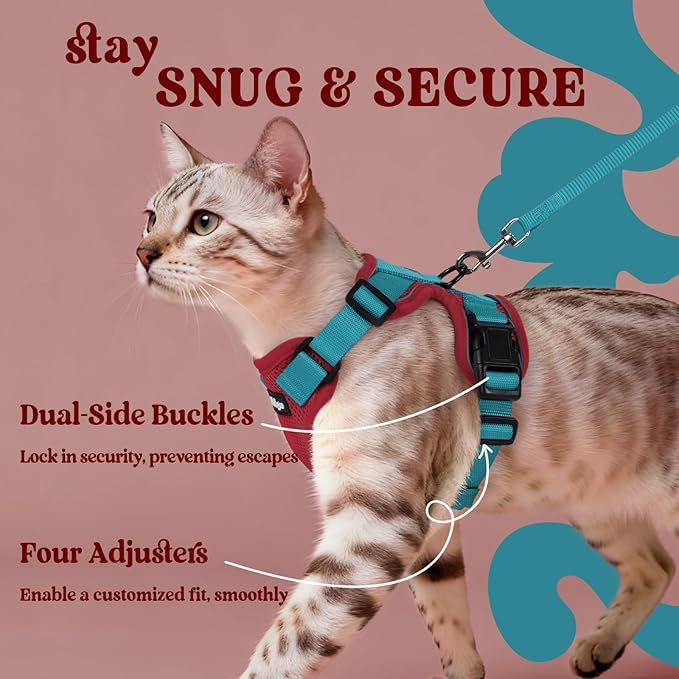 rabbitgoo Cat Harness and Leash for Walking, Escape Proof Soft Adjustable Vest Harnesses for Cats, Easy Control Breathable Reflective Strips Jacket, Red & Teal, S