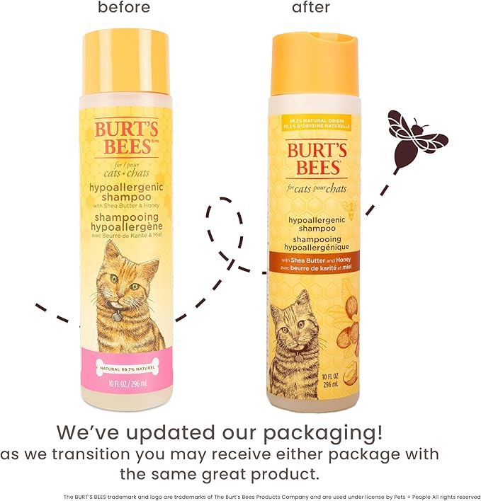 BURT'S BEES FOR PETS Hypoallergenic Cat Shampoo with Shea Butter and Honey, Gentle Kitten Shampoo for Indoor Cats with Dry or Sensitive Skin, Cat Bathing Supplies, 10 Fl Oz - 2 Pack