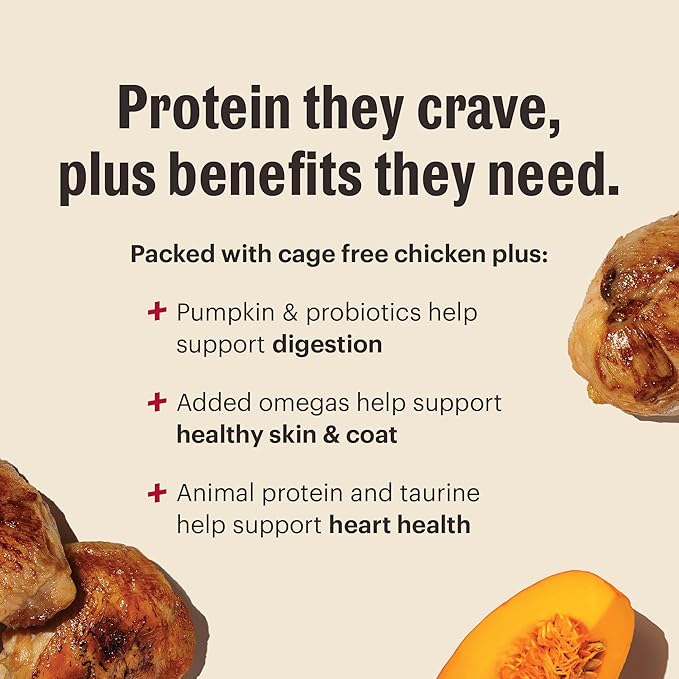The Honest Kitchen Human Grade Dog Food, Protein Plus+ Clusters Grain Free Chicken Dry Dog Food, 4 lb Bag