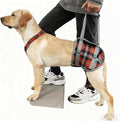 Dog Lift Harness with Handle – Adjustable Pet Support Sling for Rear Legs & HIPS, Padded Detachable Handle, Senior Dog Mobility Aid & Post-Surgery Walking Help(Hint Legs red,XL)