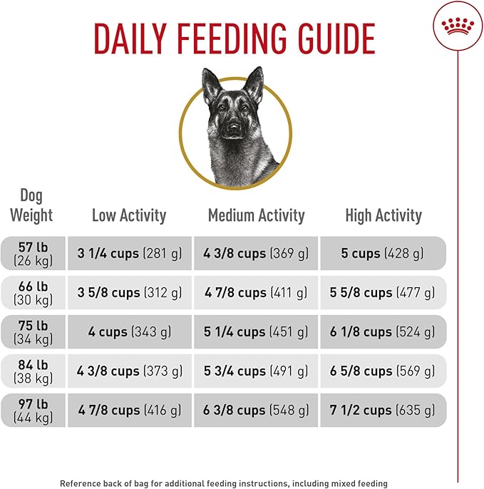 Royal Canin Breed Health Nutrition German Shepherd Adult Dry Dog Food, 17 lb Bag