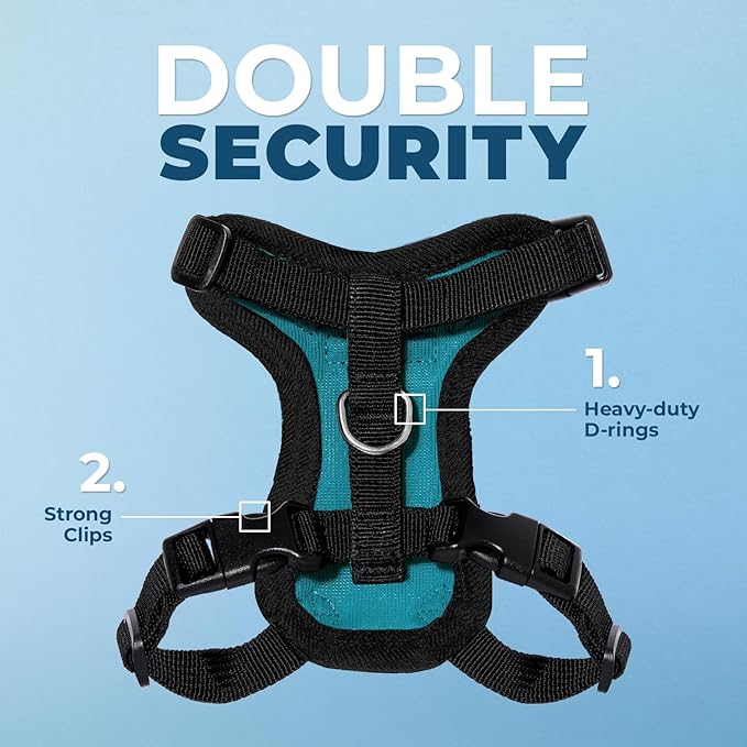 Voyager Escape-Proof Step-In Lock Cat Harness & 5ft Neoprene-Handle Leash Set All-Weather Mesh with Reflective Stitching For Small to Large Cats by Best Pet Supplies, Turquoise/Black Trim, S