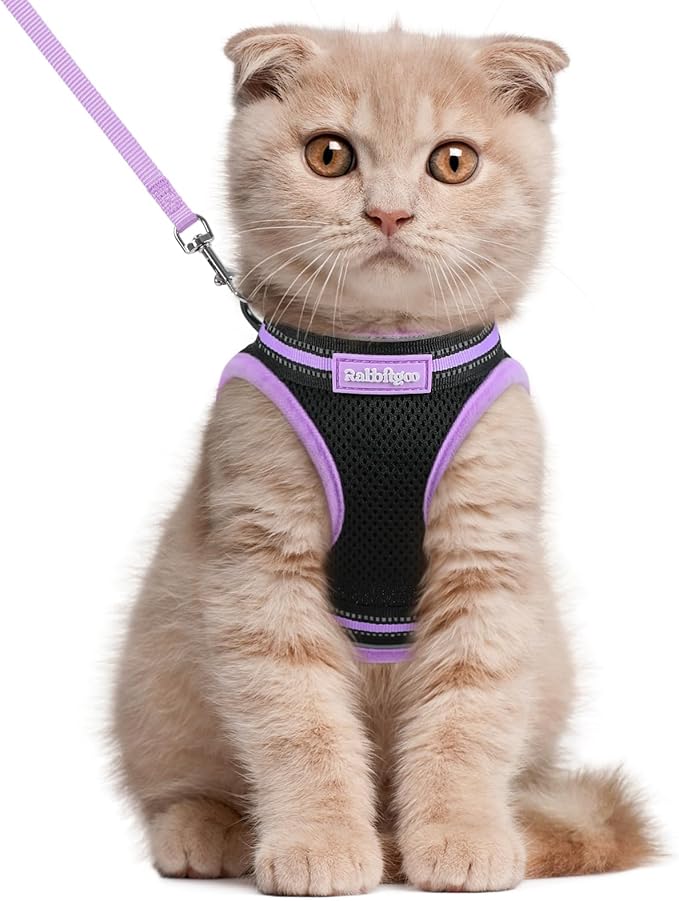 rabbitgoo Cat Harness and Leash Set for Walking Escape Proof, Adjustable Soft Kittens Vest with Reflective Strip for Cats, Comfortable Outdoor Vest, Black & Light Purple, L