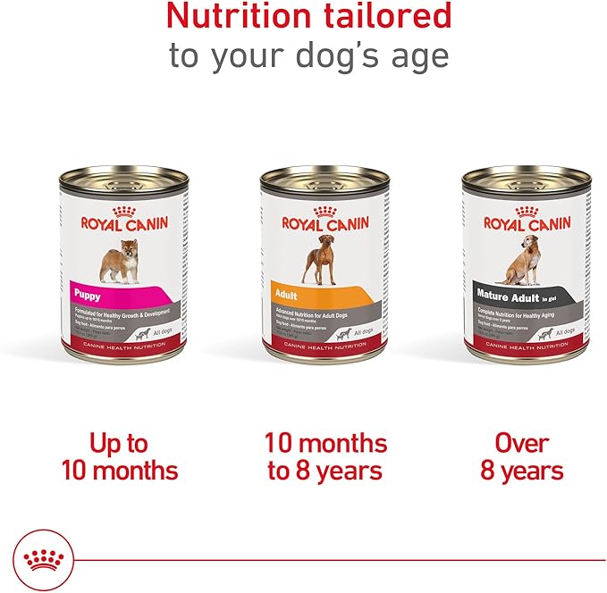 Royal Canin Canine Health Nutrition Adult In Gel Dog Food, 13.5 oz (Pack of 6)