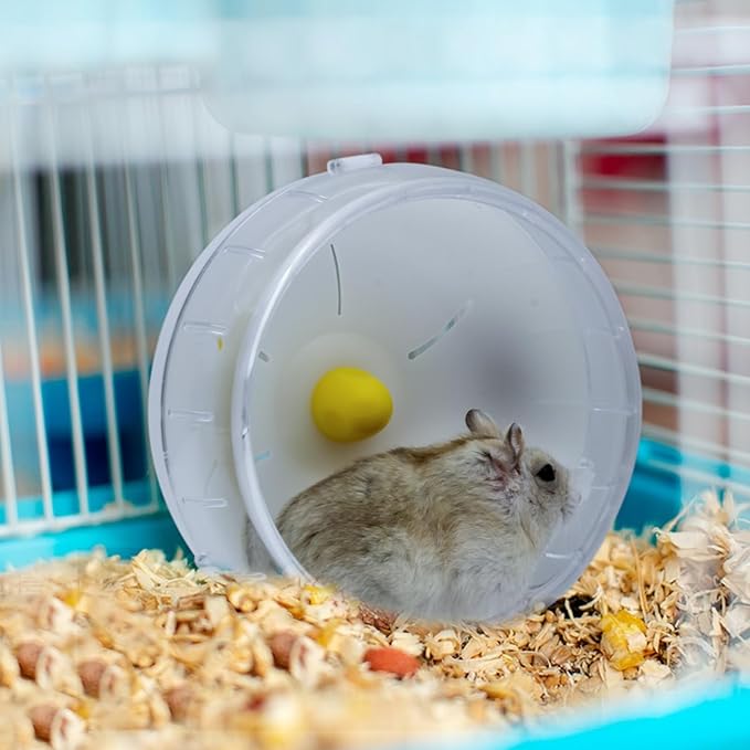 WishLotus Hamster Running Wheel, Silent Jogging Exercise Toy Hamsters Cage Accessory for Drawf Hamster Golden Silk Shih Tzu Bear (Clear)