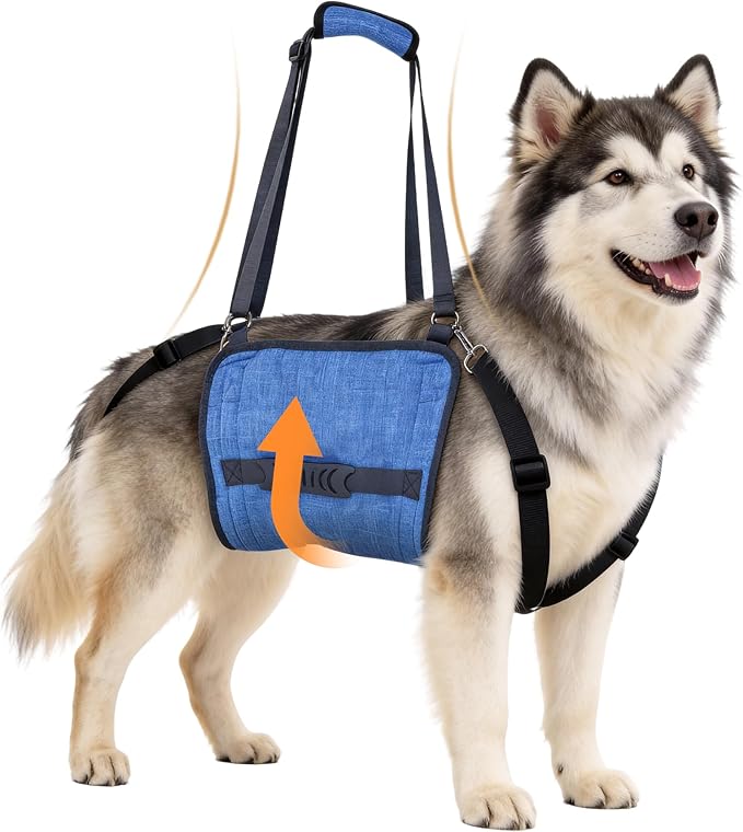 Dog Lift Harness for Large Dogs, Dog Sling Carrier with Lifting Handle for Mobility Assistance, Senior Dogs with Arthritis, Hip Dysplasia & Post-Surgery Recovery, XXL