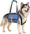 Dog Lift Harness for Large Dogs, Dog Sling Carrier with Lifting Handle for Mobility Assistance, Senior Dogs with Arthritis, Hip Dysplasia & Post-Surgery Recovery, XXL
