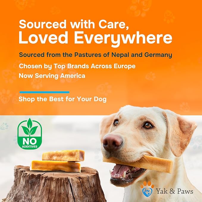 Yak & Paws Gold Yak Cheese Himalayan Dog Chews 7.1-8.1 oz (Jumbo - 1 Bar) | Dog Treats Large Breed | Odorless and Great for Oral Health | Long Lasting | High Protein | Dental Sticks