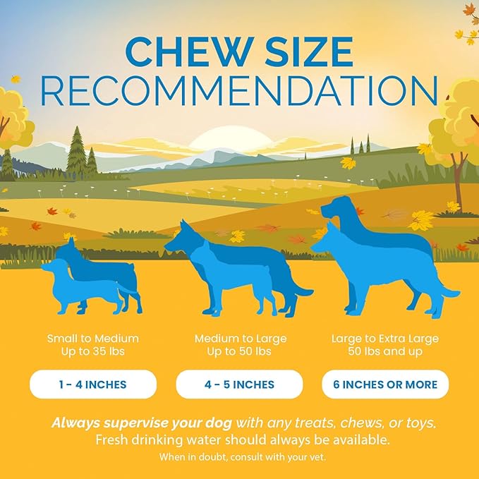 123 Treats Pig Ears for Dogs - (12 Count) 100% Natural, Long Lasting & Highly Digestible Chew Treats, Single Ingredient, Slow Baked, Great for Puppy, Large & Medium Dogs