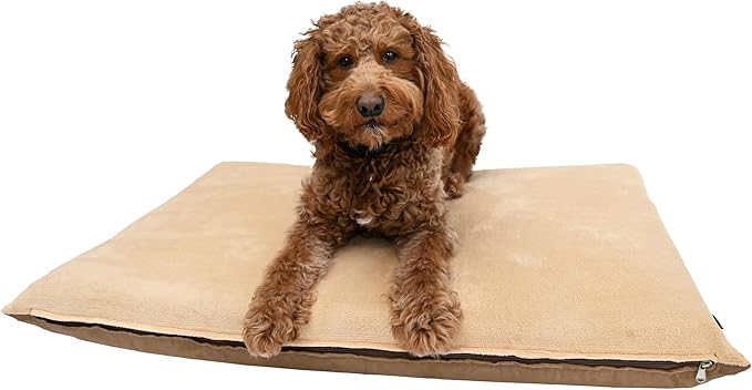 54X37 X4 XL Beige Color Orthopedic Memory Foam Pet Bed Mattress for Large Dog with 2 External Covers + Waterproof Internal Cover