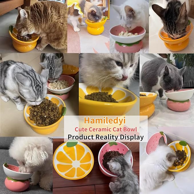 Hamiledyi Ceramic Raised Cat Bowls 15° Tilted Elevated Kitten Food Water Bowl Shallow Whisker Fatigue Kitty Dish Fruit Pet Feeding Bowls Feeder for Indoor Cats Small Dog (Pink Strawberry)