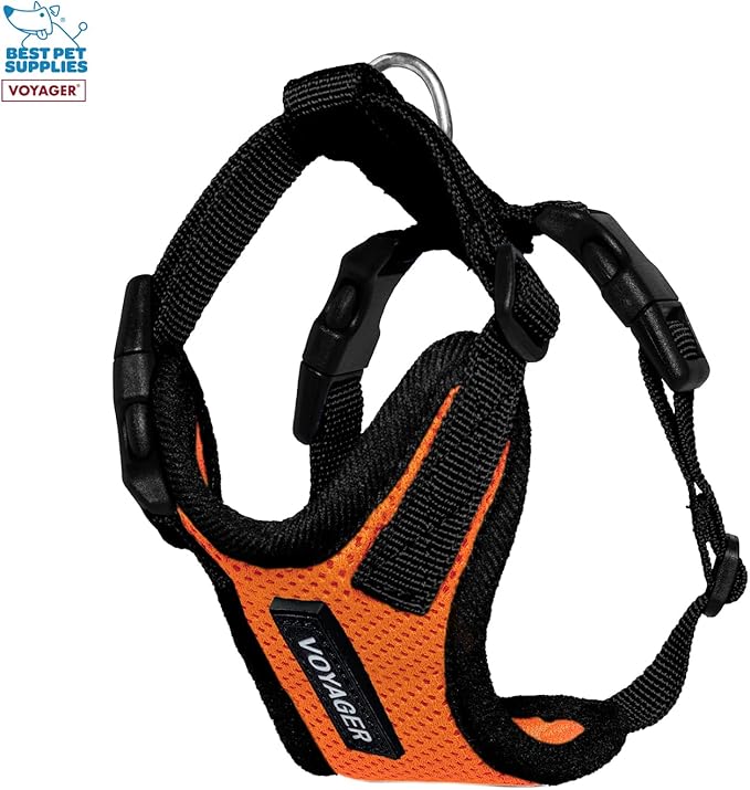 Best Pet Supplies Voyager Step-in Lock Pet Harness w Reflective Pet Leash Combo Set with Neoprene Handle 5ft - Supports Small, Medium and Large Breed Puppies/Cats - Orange/Black Trim, XXS