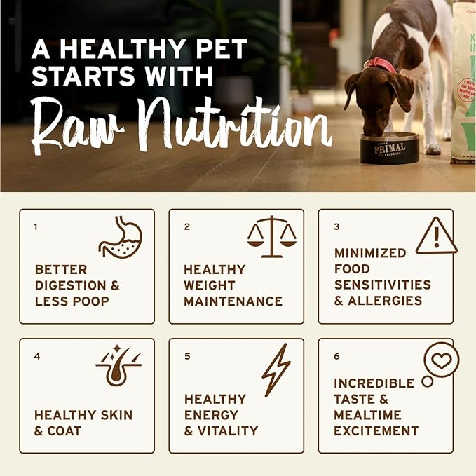 Primal Freeze Dried Raw Dog Food Nuggets, Duck, Complete & Balanced Meal, Also Use as Topper or Treat, Premium, Healthy, Grain Free, High Protein Raw Dog Food, 14 oz