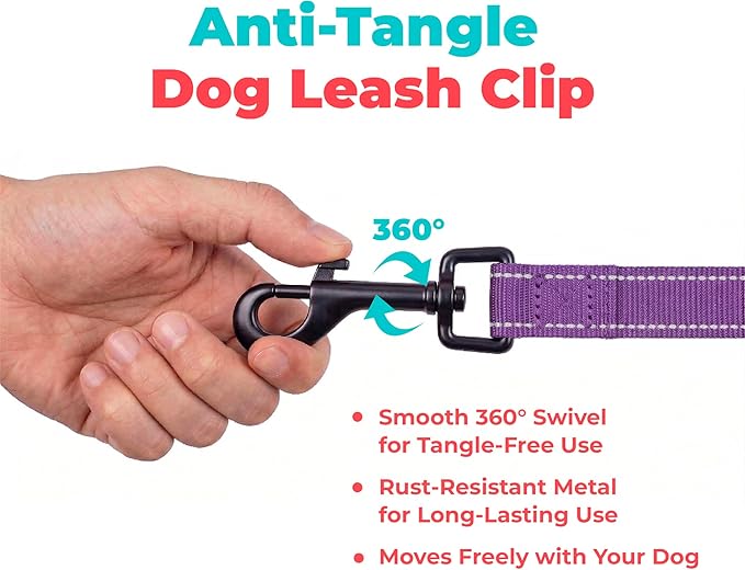 Best Pet Supplies Voyager Reflective Dog Leash or Collar with Neoprene Handle, for Small, Medium, and Large Breed Puppies, Cute and Heavy Duty for Walking, Running and Training - Purple (Leash), M
