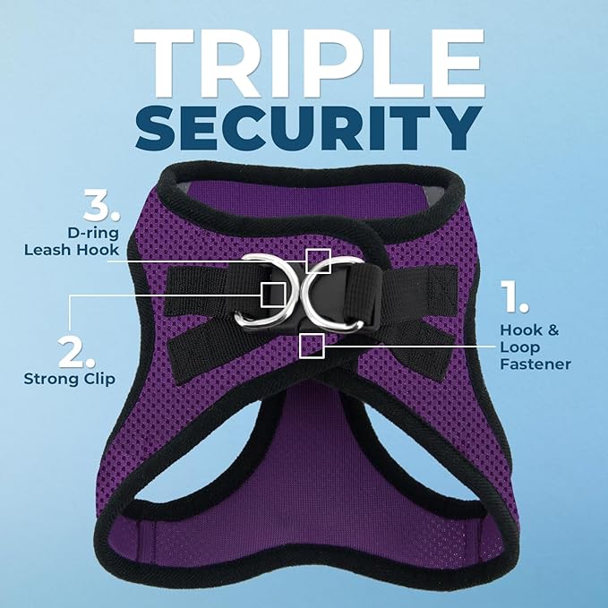 Voyager Step-in Air All Weather Mesh Harness and Reflective Dog 5 ft Leash Combo with Neoprene Handle, for Small, Medium and Large Breed Puppies by Best Pet Supplies - Purple, XX-Small