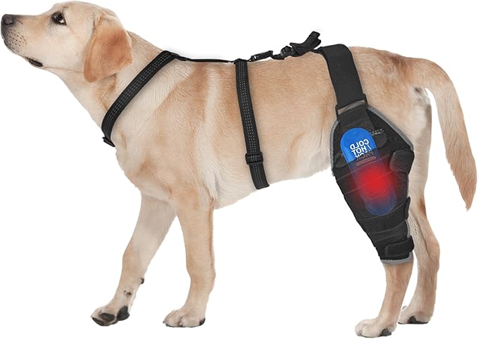 Dog Knee Brace for Back Leg - Adjustable Breathable Canine Leg Wrap with Hot & Cold Gel Packs - Supports Large & Medium Dogs with Arthritis, Hip Dysplasia, ACL Injuries, Left Hind Leg (L)
