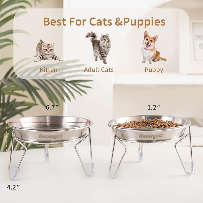 Elevated Cat Bowls,6.7" Extra Wide Raised Stainless Steel Cat Food Bowls with Anti-Slip Metal Stand Whisker Friendly Water Dishes for Indoor Cats and Small Dogs-1pack