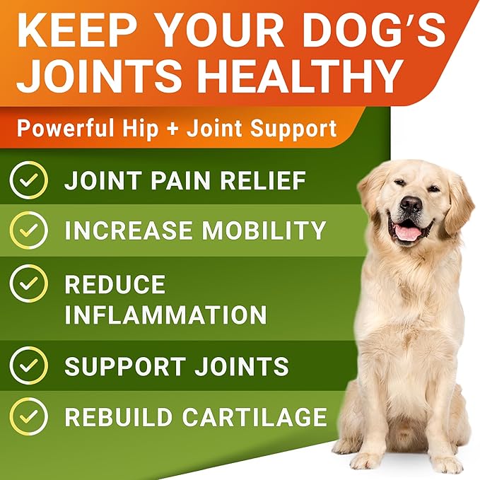 Large Breed Glucosamine Hemp Dog Joint Supplement - Hemp Chews for Dogs Hip Joint Pain Relief - Omega 3, Chondroitin, MSM - Advanced Mobility Hemp Oil Treats for Large Dogs - Made in USA - 360 Ct