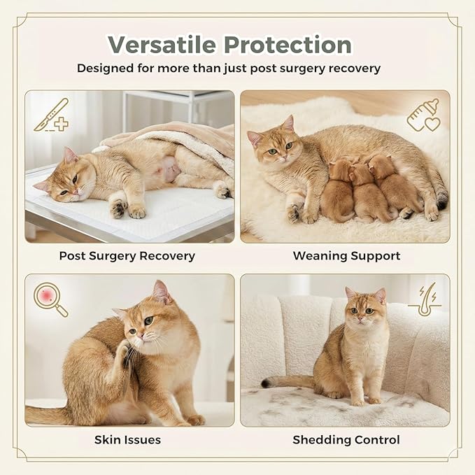 Avont Cat Recovery Suit for Surgery, Breathable Anti-Licking Onesie for Kittens, Surgical Post-Operative Protective Bodysuit, Comfortable Alternative to E-Collar -Green (S)